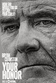 Your Honor TV Show Poster on O2TvSeries