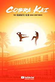 Cobra Kai TV Show Poster on O2TvSeries