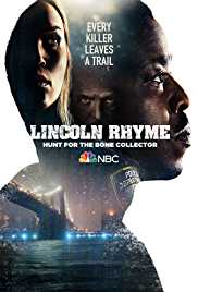 Lincoln Rhyme - Hunt for the Bone Collector TV Show Poster on O2TvSeries