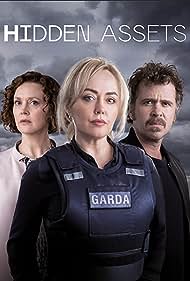 Hidden Assets TV Show Poster on O2TvSeries