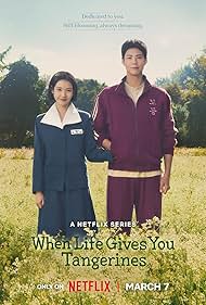 When Life Gives You Tangerines TV Show Poster on O2TvSeries
